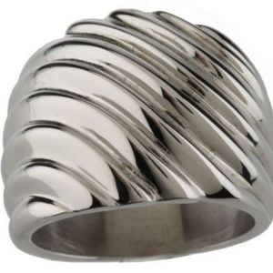 QVC Steel by Design Simona Collini Wide Band Ring